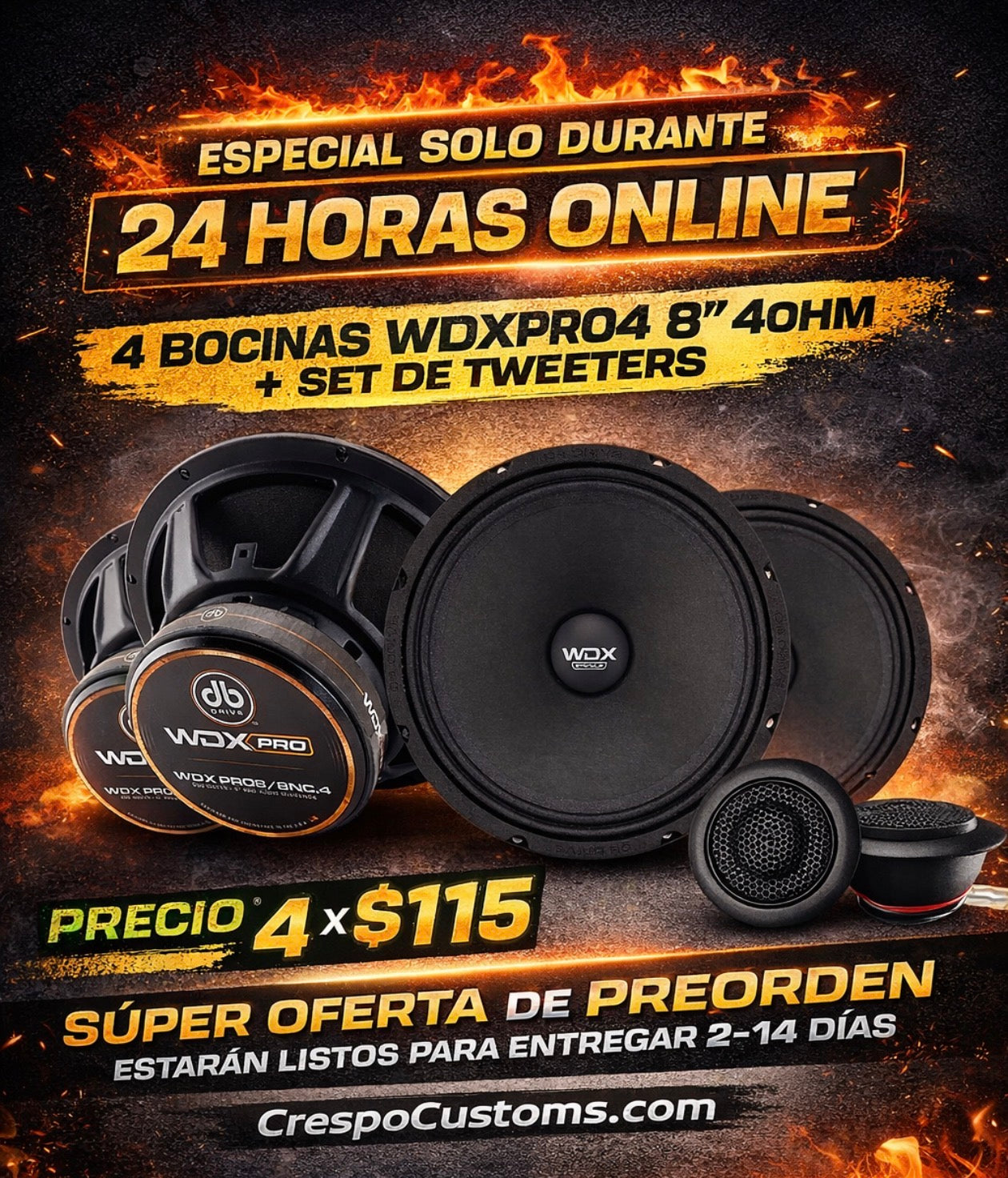 SOLO 24 Horas 4 WDX 8” + Set De Tweeters